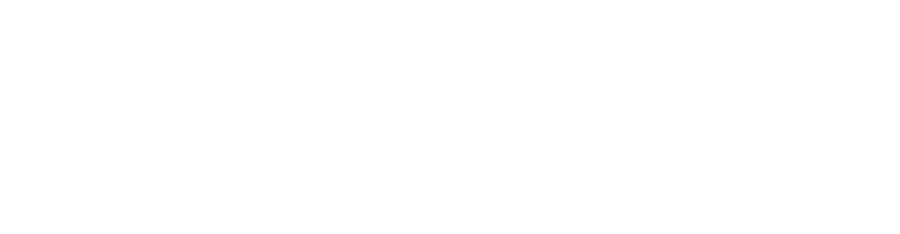 Milenium Conecta
